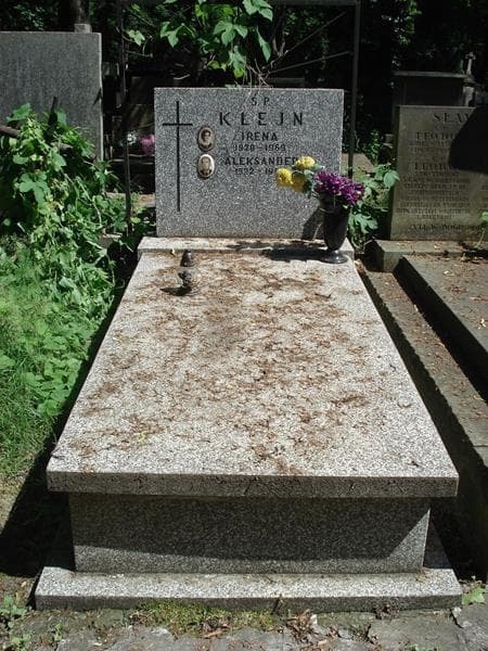 Zdjęcie grobu: Aleksander Klejn