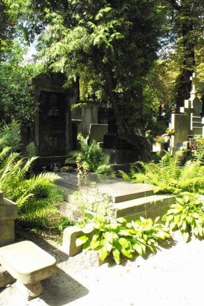 Zdjęcie grobu Edmund Grąbczewski (1)