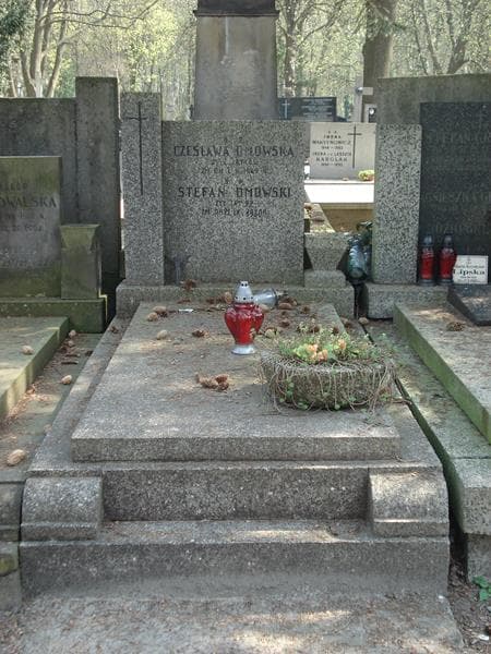 Zdjęcie grobu: Stefan Dmowski