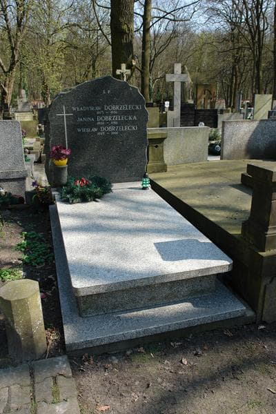 Zdjęcie grobu: Władysław Dobrzelecki