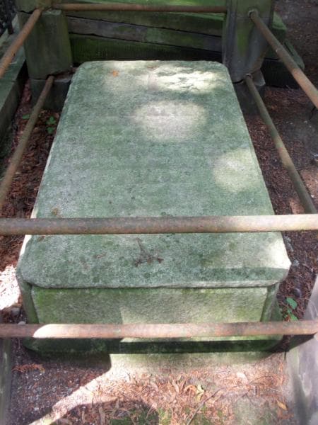 Zdjęcie grobu Józef Alizini (2)