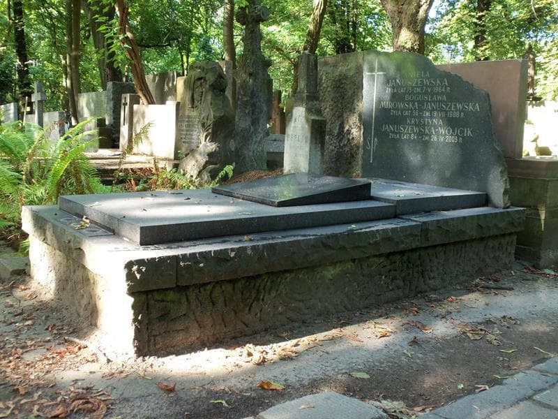 Zdjęcie grobu Konstanty Januszewski (1)