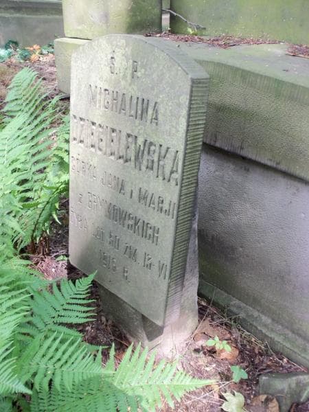 Zdjęcie grobu Michalina Dziegielewska (2)