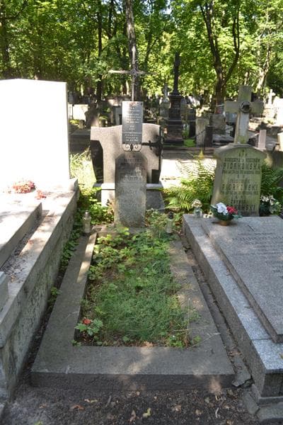 Zdjęcie grobu Stanisław Hendzel (1)