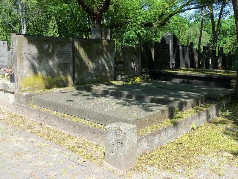 Zdjęcie grobu Zenobiusz Michał Ambrozy (1)