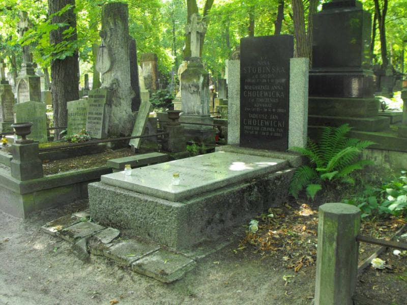 Zdjęcie grobu Małgorzata Anna Cholewicka (1)