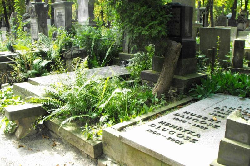 Zdjęcie grobu Marjanna Wasiljewa (1)