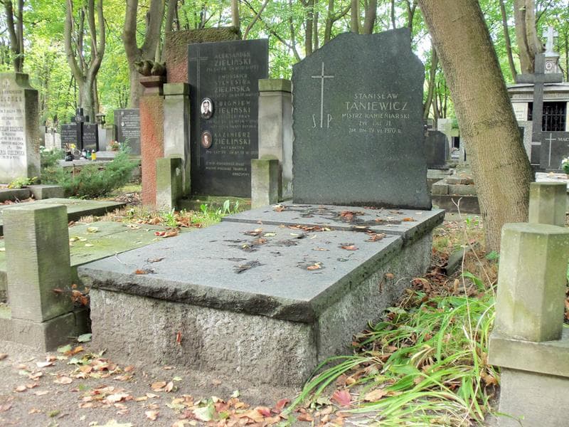 Zdjęcie grobu Stanisław Taniewicz (1)