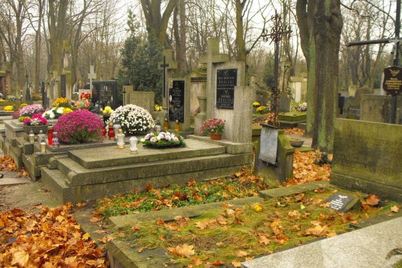 Zdjęcie grobu ..... Żółtowska (1)
