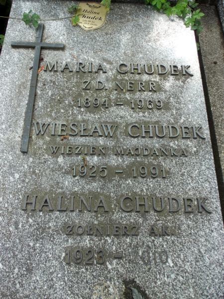 Zdjęcie grobu Halina Chudek (2)