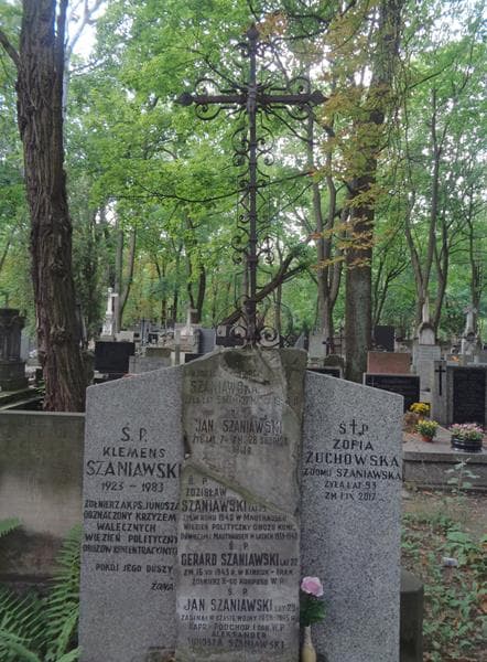 Zdjęcie grobu Aleksander Junosza Szaniawski (2)