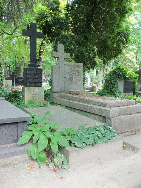 Zdjęcie grobu Zygmunt Klinger (1)
