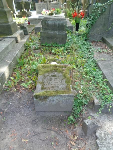 Zdjęcie grobu Rajmund Lewandowski (1)