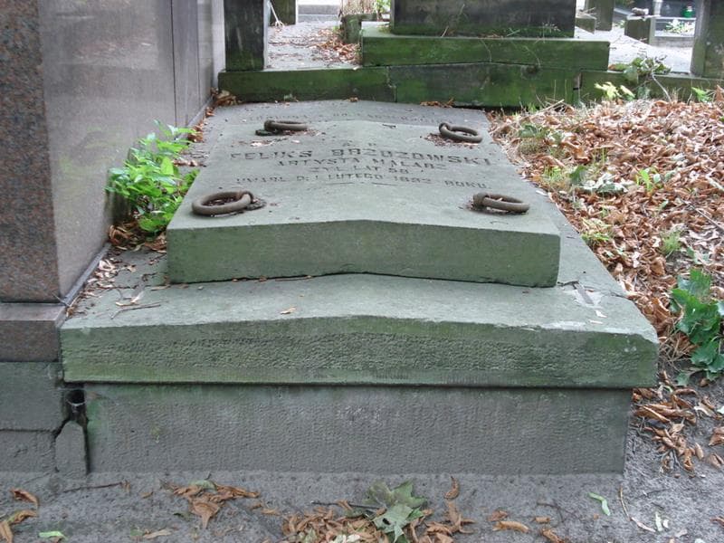 Zdjęcie grobu Ludwika Brzozowska (1)