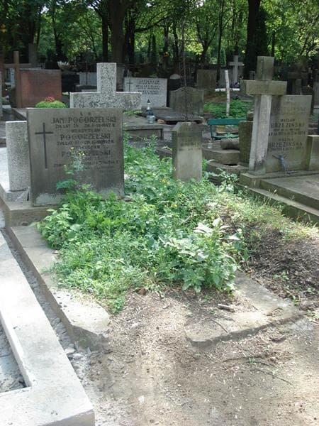 Zdjęcie grobu Władysław Pogorzelski (1)