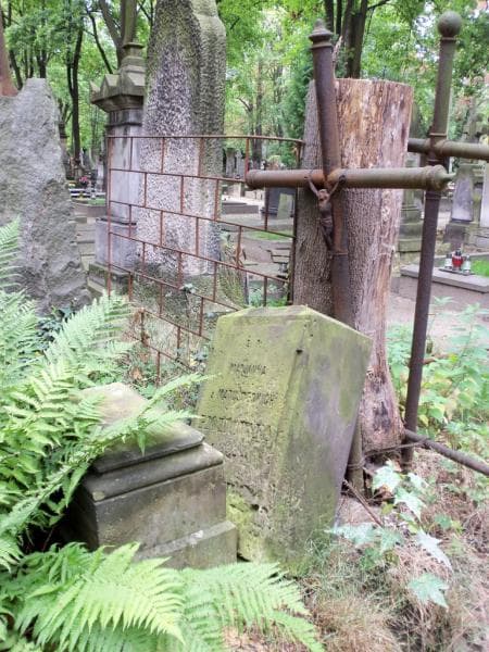 Zdjęcie grobu Marjanna Piotrowska (1)