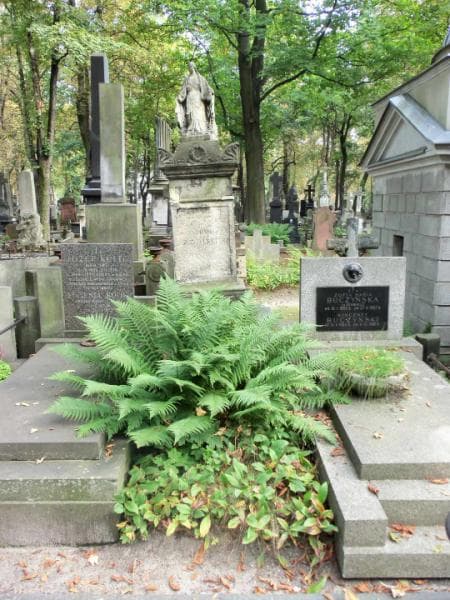 Zdjęcie grobu: Antoni Zawalski