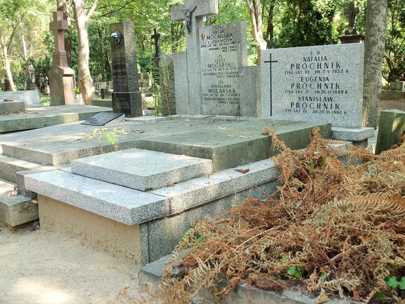 Zdjęcie grobu Stanisław Próchnik (1)