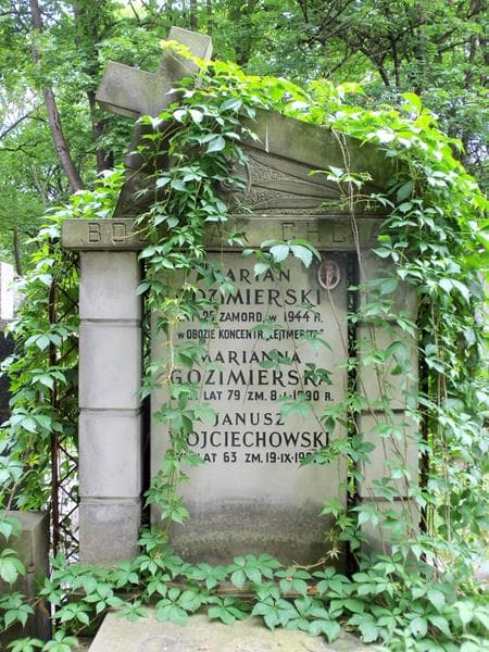 Zdjęcie grobu Marian Gozimierski (2)