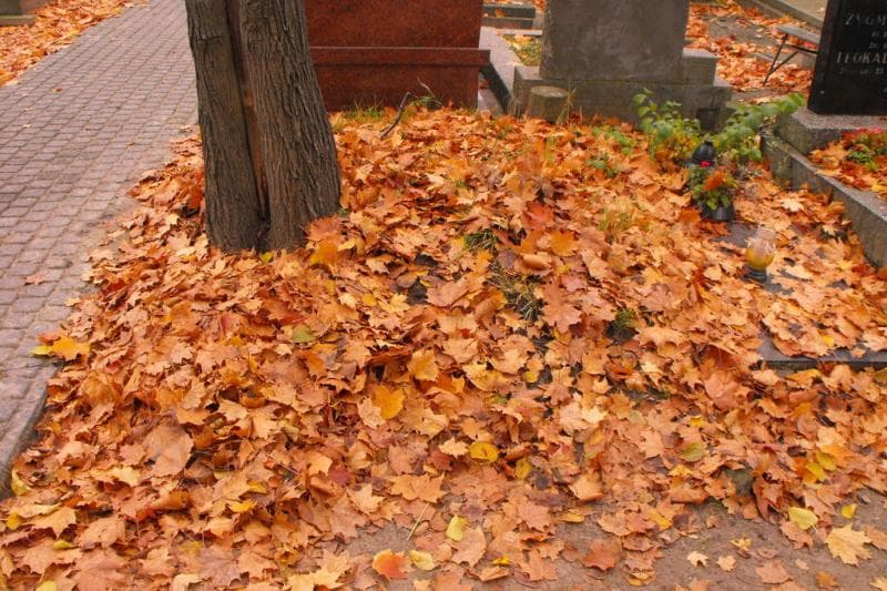 Zdjęcie grobu Pole Grobowe (2)