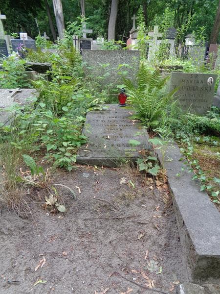 Zdjęcie grobu Emil Dąbrowski (1)