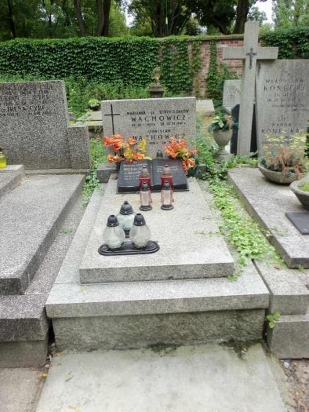 Zdjęcie grobu: Stanisław Wachowicz