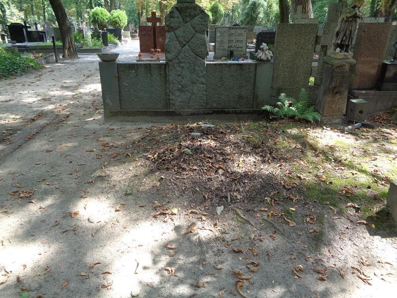Zdjęcie grobu: Pole Grobowe