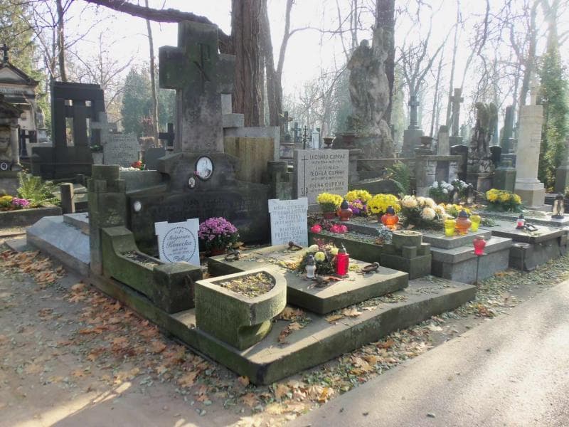 Zdjęcie grobu Władysław Pobóg-Górski (1)