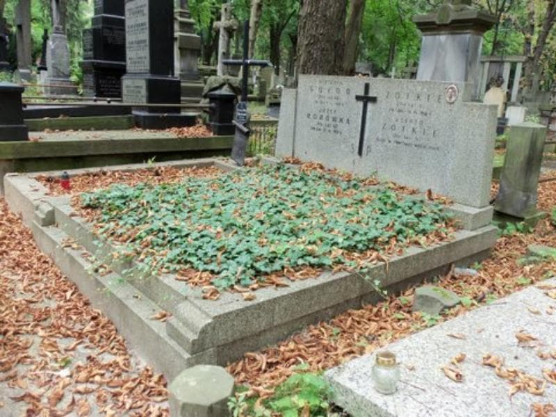 Zdjęcie grobu Józef Borówka (1)