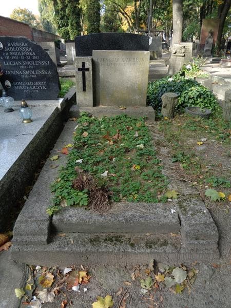Zdjęcie grobu Czesław Wardejn (1)