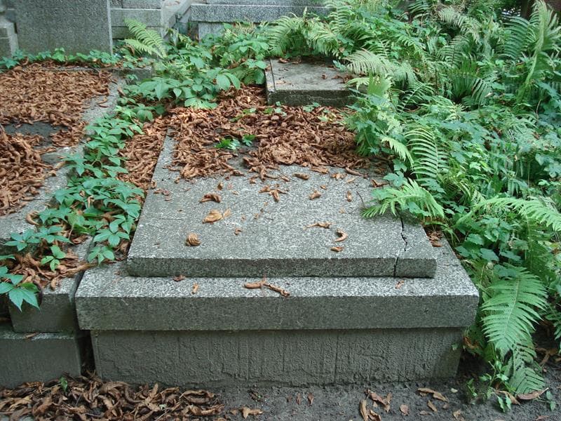 Zdjęcie grobu Maria Zadrzywilska (1)