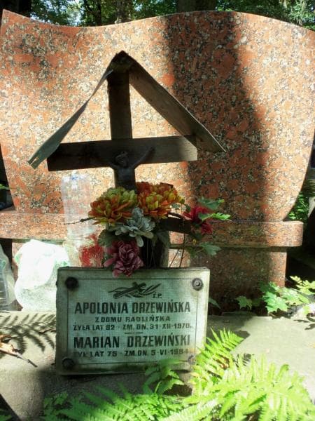 Zdjęcie grobu Apolonia Drzewińska (2)