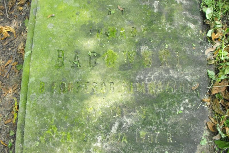 Zdjęcie grobu Ignacy Badowski (2)