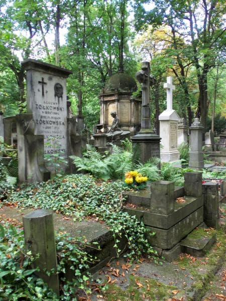 Zdjęcie grobu Amelja Żółkowska (1)