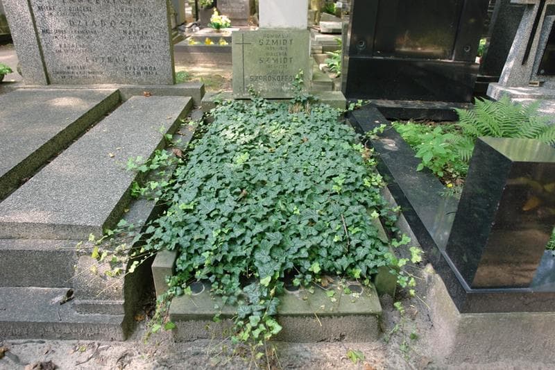 Zdjęcie grobu Romuald Szmidt (1)