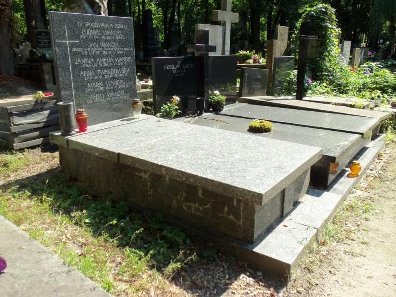 Zdjęcie grobu Ludwik Wandel (1)