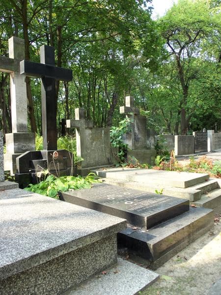 Zdjęcie grobu Zofia Dopierała (1)