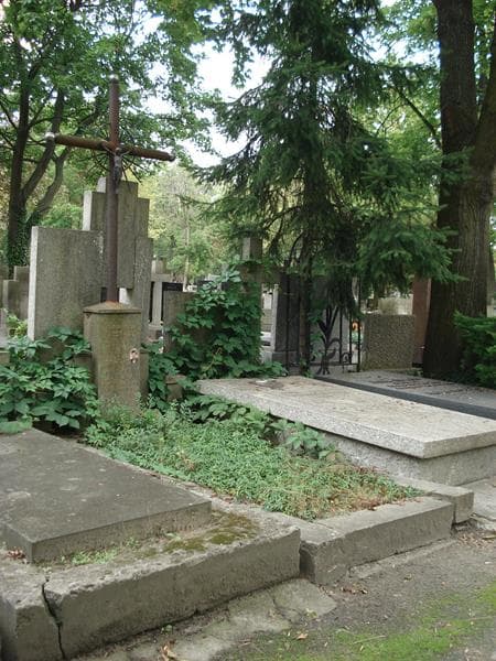 Zdjęcie grobu Janina Halina Ilmoja (1)