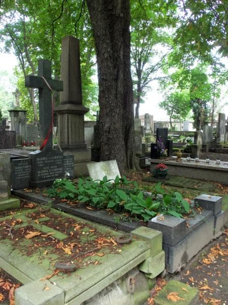 Zdjęcie grobu Magdalena Ponikowska (1)