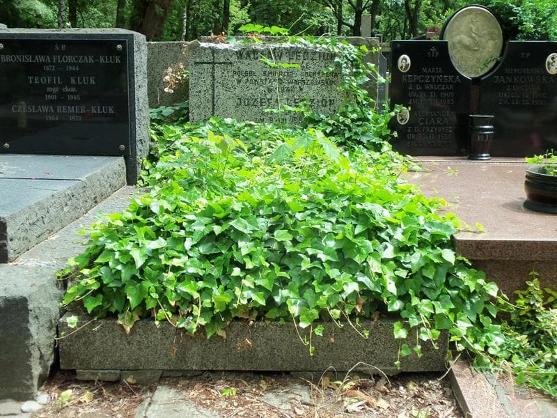 Zdjęcie grobu: Wacław Lędzion