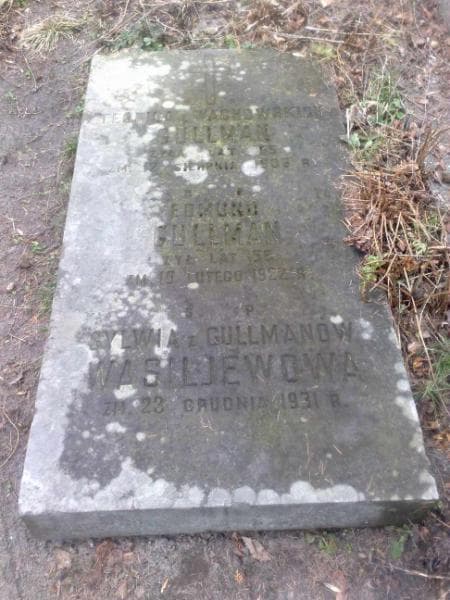 Zdjęcie grobu Stanisław Wachowski (1)