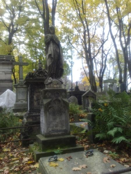 Zdjęcie grobu Eugeniusz Mierzwiński (1)