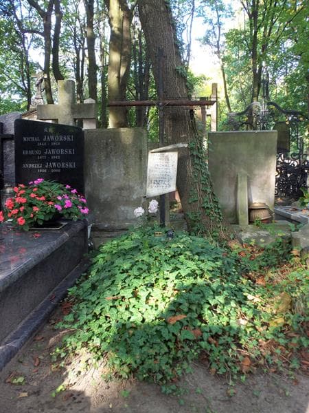 Zdjęcie grobu: Ksawera Jaworska