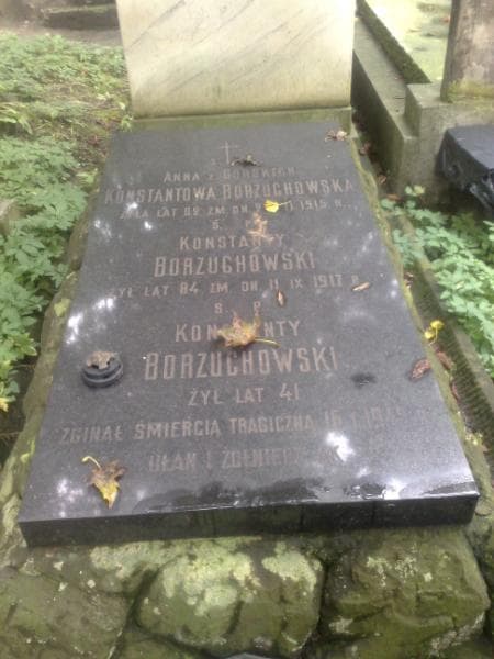 Zdjęcie grobu Konstanty Borzuchowski (2)