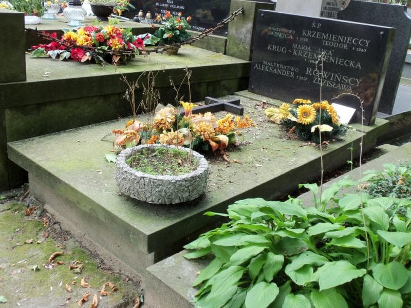 Zdjęcie grobu Jadwiga Krzemieniecka (1)