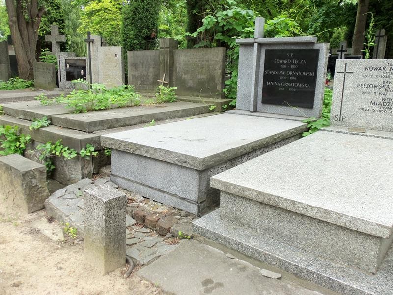 Zdjęcie grobu Edward Tęcza (1)