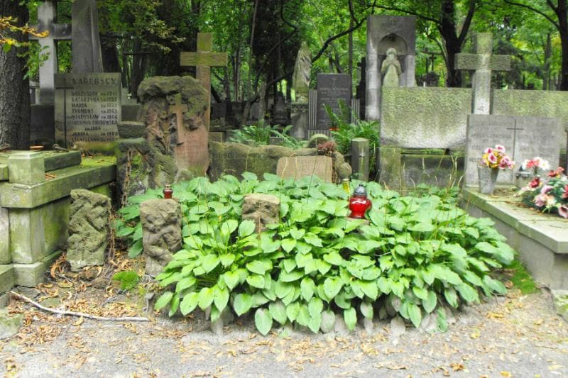 Zdjęcie grobu: Zofia Pawlikowska