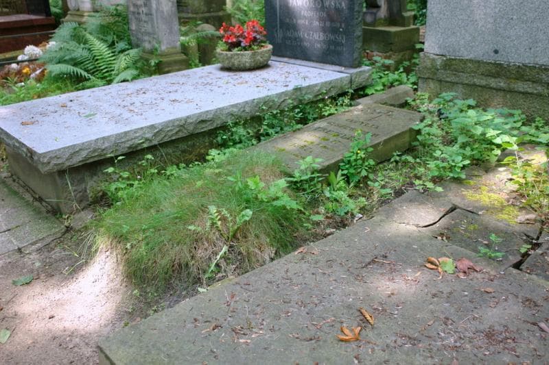 Zdjęcie grobu: Cecylia Freisler