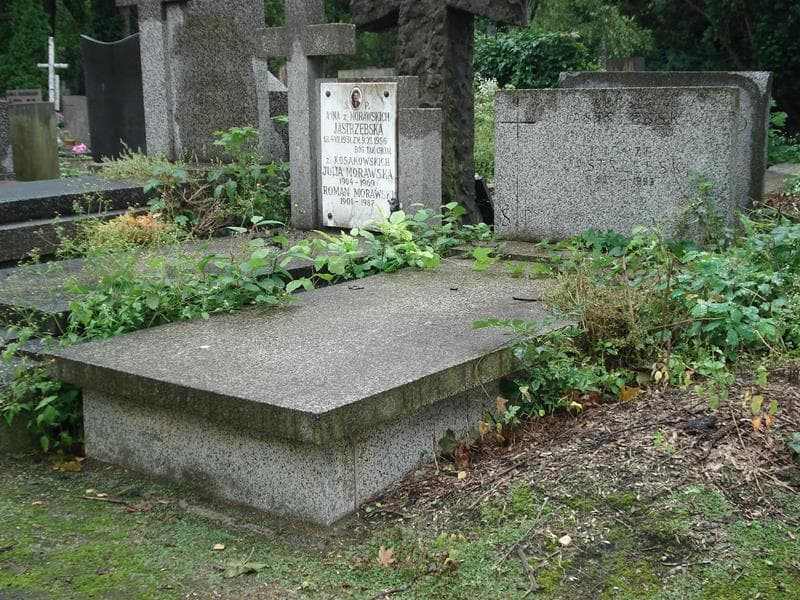 Zdjęcie grobu Aurelia Jastrzębska (1)