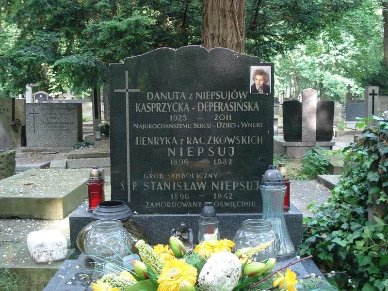 Zdjęcie grobu Henryka Niepsuj (1)